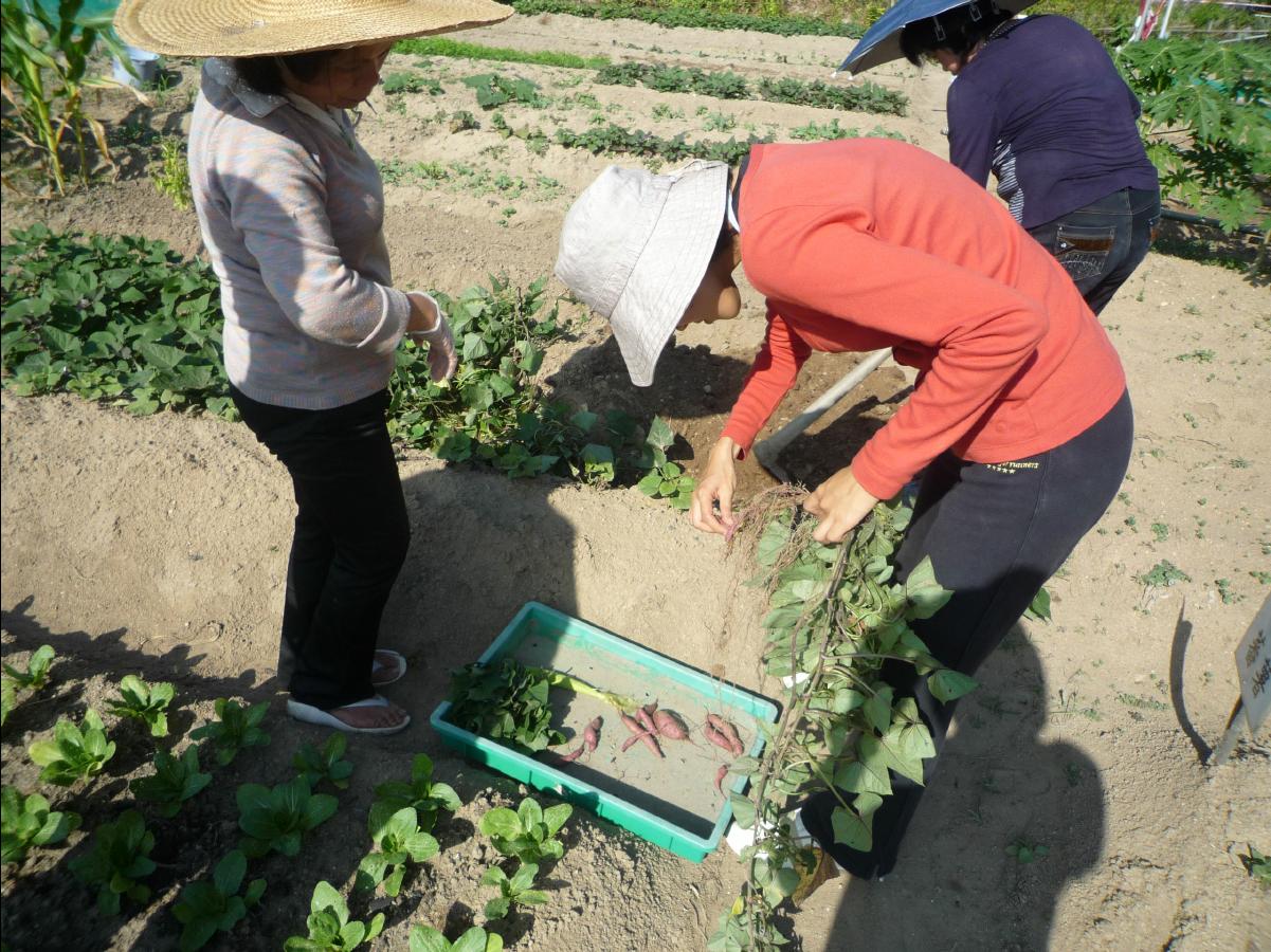 20101205 The Organic Farm21